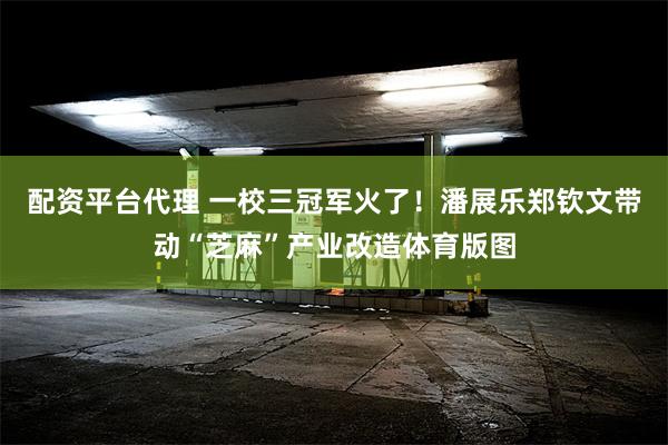 配资平台代理 一校三冠军火了！潘展乐郑钦文带动“芝麻”产业改造体育版图