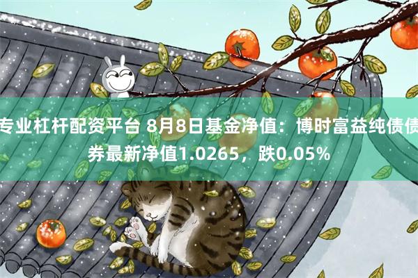 专业杠杆配资平台 8月8日基金净值:博时富益纯债债券最新净值1.0265,跌0.05%