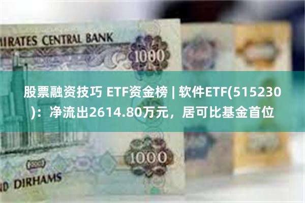 股票融资技巧 ETF资金榜 | 软件ETF(515230)：净流出2614.80万元，居可比基金首位