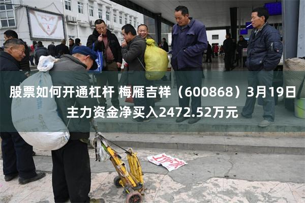股票如何开通杠杆 梅雁吉祥（600868）3月19日主力资金净买入2472.52万元
