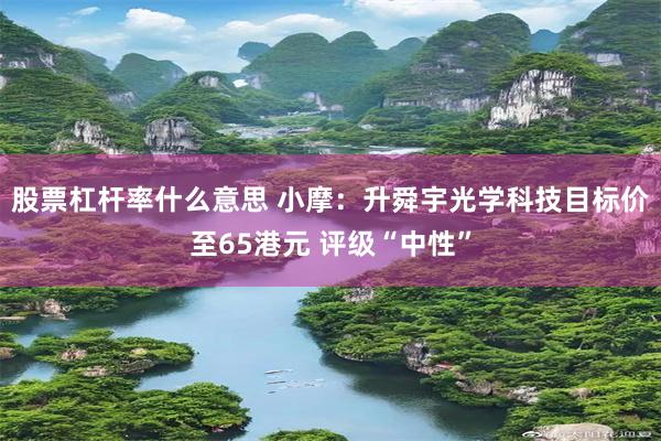 股票杠杆率什么意思 小摩：升舜宇光学科技目标价至65港元 评级“中性”