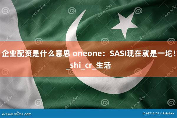 企业配资是什么意思 oneone：SASI现在就是一坨！_shi_cr_生活