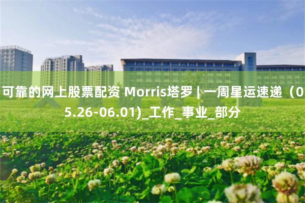 可靠的网上股票配资 Morris塔罗 | 一周星运速递（05.26-06.01)_工作_事业_部分