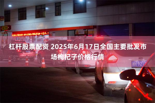 杠杆股票配资 2025年6月17日全国主要批发市场枸杞子价格行情