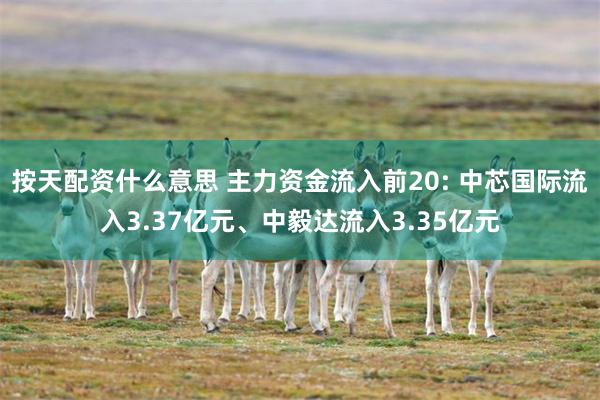 按天配资什么意思 主力资金流入前20: 中芯国际流入3.37亿元、中毅达流入3.35亿元