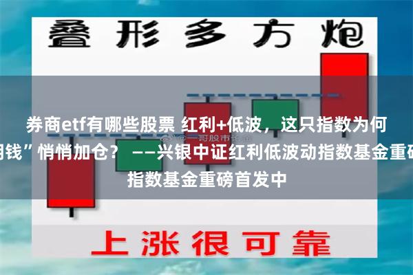 券商etf有哪些股票 红利+低波，这只指数为何被“聪明钱”悄悄加仓？ ——兴银中证红利低波动指数基金重磅首发中