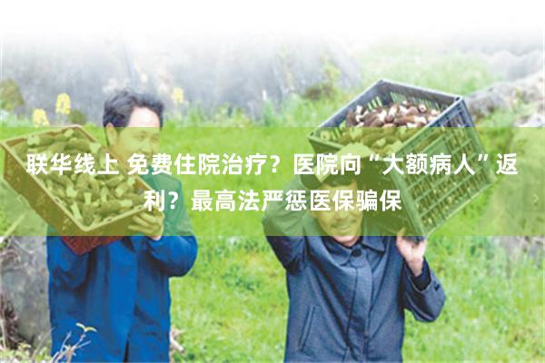 联华线上 免费住院治疗？医院向“大额病人”返利？最高法严惩医保骗保