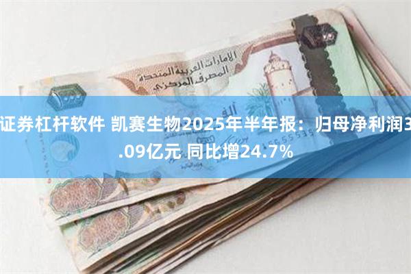 证券杠杆软件 凯赛生物2025年半年报：归母净利润3.09亿元 同比增24.7%