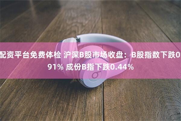 配资平台免费体检 沪深B股市场收盘：B股指数下跌0.91% 成份B指下跌0.44%